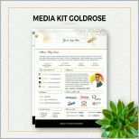 Am Beliebtesten Media Kit Vorlagegoldrose Blog Me N Kit