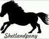 Angepasst 2 X Auto Aufkleber Shetlandpony &quot;shetland Pony &quot; Car