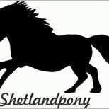 Angepasst 2 X Auto Aufkleber Shetlandpony &quot;shetland Pony &quot; Car