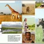 Außergewöhnlich Gestaltungsidee Afrika Im Fotobuch