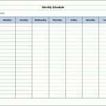 Außergewöhnlich Projektplan Excel Muster
