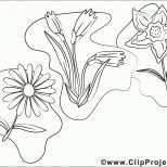 Ausgezeichnet Blumen Vorlagen Zum Ausdrucken Inspiration Blumen Zum