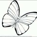 Ausgezeichnet Die Erstaunliche Schmetterling Vorlage Zum Ausdrucken