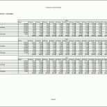 Ausgezeichnet Liquiditätsplanung Excel Vorlage Kostenlos Gut Fahrtenbuch