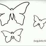 Ausnahmsweise Bildergebnis Für Schmetterlinge Vorlage Zum Ausdrucken