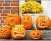 Beeindruckend Halloween Kürbis Schnitzen 38 Ideen Zum Nachmachen