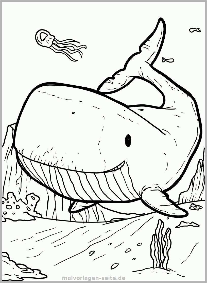 Beeindruckend Jona Im Wal Ausmalbilder Jonah In the Whale Coloring Pages
