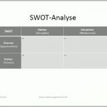 Bemerkenswert Projektmanagement24 Blog Swot Analyse Im