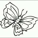 Bemerkenswert Schmetterling Vorlage Zum Ausdrucken Cool Kostenlose