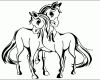 Bestbewertet Malvorlage Pferde Animal Coloring