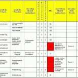 Bestbewertet Prozessbeschreibung Vorlage Excel 24 Elegant Prozess Fmea