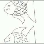 Beste Fische Schablonen Ausdrucken 1059 Malvorlage Fische