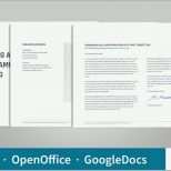 Einzahl Bewerbung Muster Vorlagen Bewerbungsprofi Google Docs