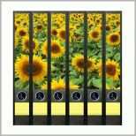 Einzahl Geschenkwichtel ordner Rückenschilder Sunflower Field
