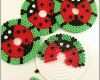 Einzahl Ladybug Glass Cover Set Hama Beads by Charlottevindpless