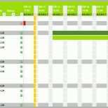 Einzahl Projektplan Excel