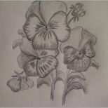 Einzahl Tattoo Vorlagen Zeichnen Erstaunlich Blumen Selber Malen