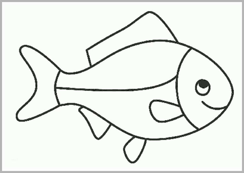 Einzigartig Bilder Fische Zum Ausdrucken Ausmalbilder Von Fische
