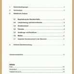 Empfohlen Praktikumsbericht Deckblatt Vorlage Praktikumsbericht