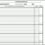 Erschwinglich 15 Prüfplan Vorlage Excel