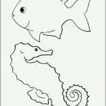 Erschwinglich Fische Zeichnen Vorlagen Papacfo
