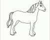 Erschwinglich Pferde Zeichnungen Vorlagen Luxus Pferd Bild Malvorlage