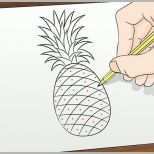 Exklusiv Eine Ananas Zeichnen – Wikihow