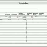 Fabelhaft Inventarliste Vorlage Excel format