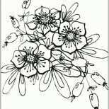 Fantastisch Blumenmotive Zum Ausmalen Stickerei Pinterest