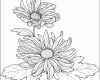 Fantastisch Detaillierte Schoene Blume Ausmalbild &amp; Malvorlage Blumen