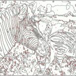 Fantastisch Malen Nach Zahlen Vorlage Zebra &amp; Tiere