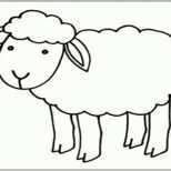 Fantastisch Schaf Ausmalbilder Tiere 27 Vorlagen Schablonen