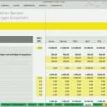 Faszinieren Bwa Vorlage Elegant Planung Excel Kostenlos Guv Bilanz Und