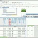 Faszinieren Projektplan Excel Download