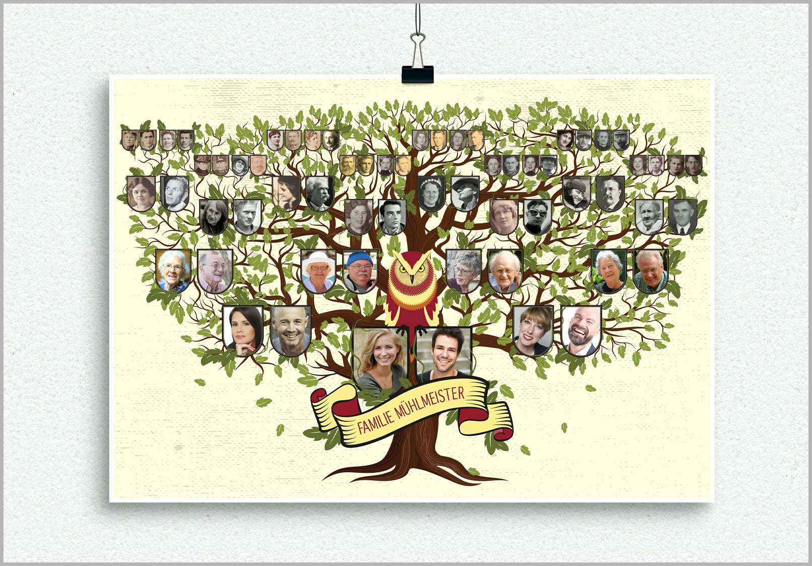 illustrativegrossflaechige vorlagen fuer deinen familienstammbaum 501