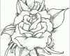 Größte Calla Zeichnen Blume Zeichnen Zeichnen Lernen Für Anfänger