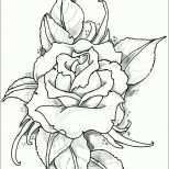 Größte Calla Zeichnen Blume Zeichnen Zeichnen Lernen Für Anfänger