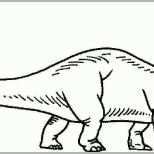 Größte Dinosaurier Malvorlagen Für Kinder Ausmalbilder