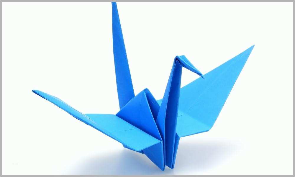Größte origami Vorlagen Für Papierblüten Das Haus