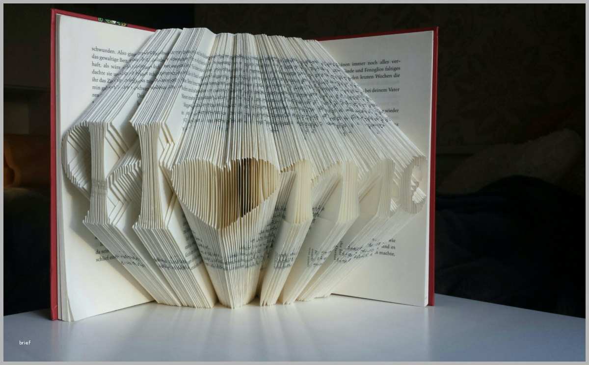 Hervorragend Buch origami