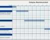 Hervorragend Projektplan Erstellen Excel Vorlage Inspiration 17