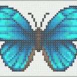 Ideal Die Besten 25 Blauer Schmetterling Ideen Auf Pinterest