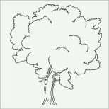 Kreativ Baum Vorlage Zum Ausdrucken Großartig Konabeun Zum