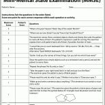 Limitierte Auflage Mini Mental State Examination Mmse Medworks Media