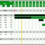 Limitierte Auflage Projektplan Excel