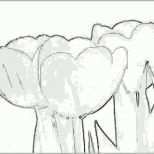 Limitierte Auflage Tulpe Zeichnen Für Anfänger Wie Zeichnet Man Eine Blume