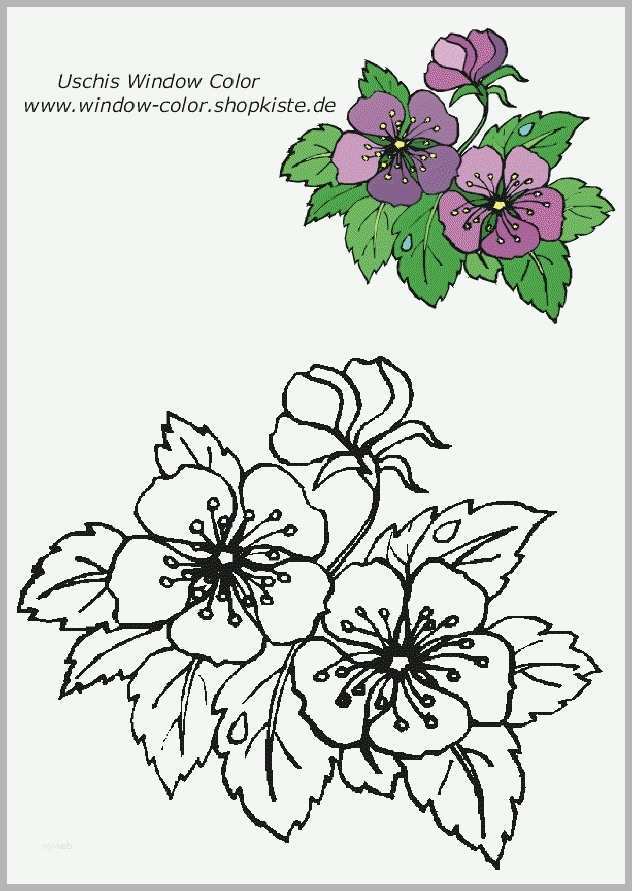 Modisch Window Color Vorlagen Blumen Wunderbar Blumen Vorlagen 1