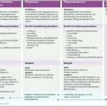 Neue Version 10 Pflegeprozess Und Pflegeplanung Pflegepädagogik
