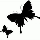 Neue Version Pin Malvorlagen Schmetterling Zeichnen On Pinterest