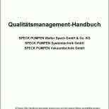 Neue Version Qualitätsmanagement Handbuch Pdf
